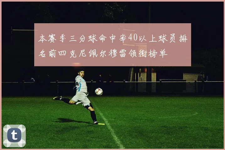 本赛季三分球命中率40以上球员排名前四克尼佩尔穆雷领衔榜单