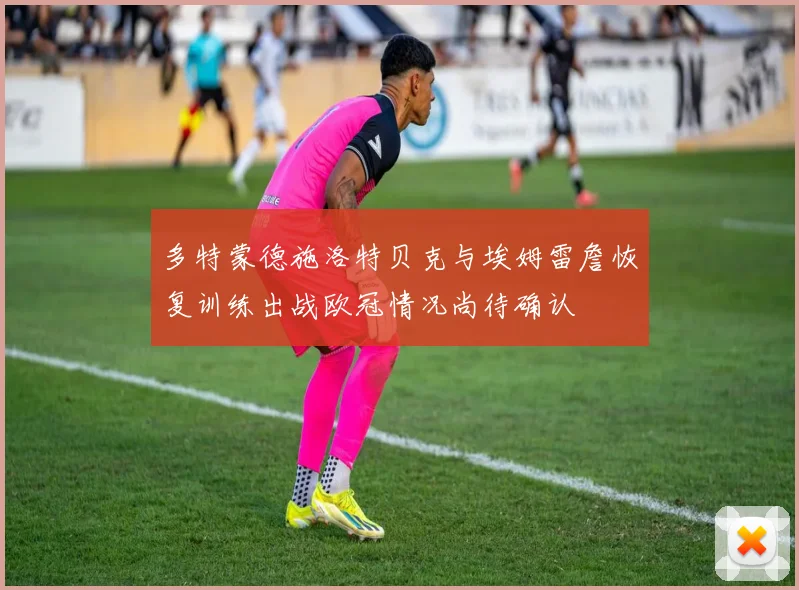 多特蒙德施洛特贝克与埃姆雷詹恢复训练出战欧冠情况尚待确认