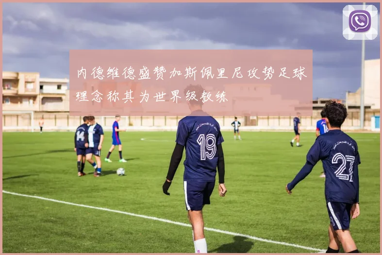 内德维德盛赞加斯佩里尼攻势足球理念称其为世界级教练